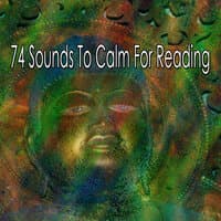 74 Sounds to Calm for Reading