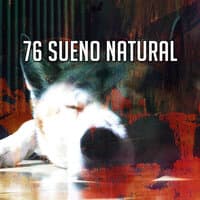 76 Sueno Natural