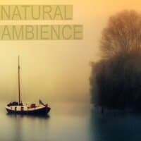 Natural Ambience