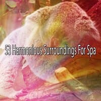 53 Harmonious Surroundings for Spa