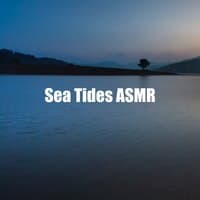 Sea Tides ASMR