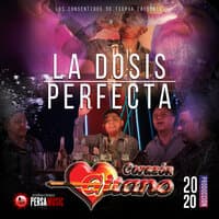 La Dosis Perfecta