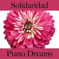 Solidaridad: Piano Dreams - La Mejor Música Para Sentirse Mejor