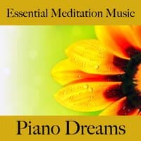 Essential Meditation Music: Piano Dreams - A Melhor Música Para Relaxar