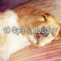 40 Spa & Holiday