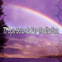 77 Spa Sounds for Meditation