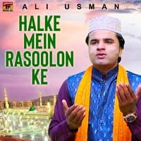 Halke Mein Rasoolon Ke - Single