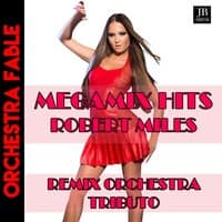 Megamix Hits Remix Orchestra Robert Miles Tributo