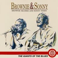 Brownie and Sonny: The Giants of the Blues