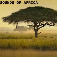 Sounds of Africa