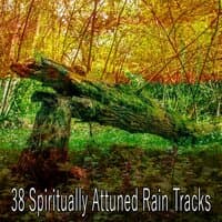 38 Spiritually Attuned Rain Tracks