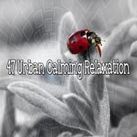 47 Urban Calming Relaxation