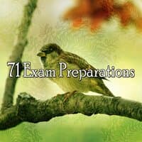 71 Exam Preparations