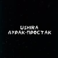 Дурак-простак