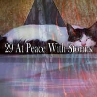 29 At Peace with Storms