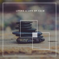 Living A Life Of Calm