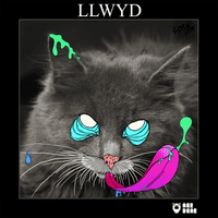 Llwyd