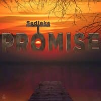 Promise