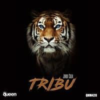 Tribu