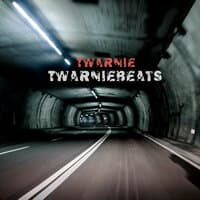 Twarniebeats