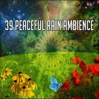 39 Peaceful Rain Ambience