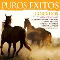 Puros Éxitos: Corridos