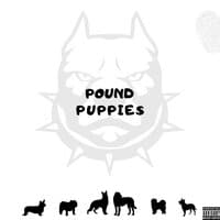 Pound Puppies