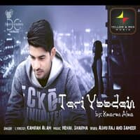 Teri Yaadein - Single