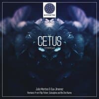 Cetus