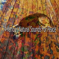 74 Various Natural Sounds for Peace