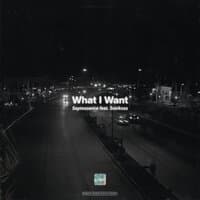 What I Want