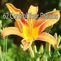 62 Control Your Dreams