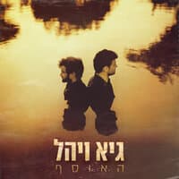 גיא ויהל - האוסף