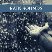 Rain Sounds: Relaxing Music for Sleep, Focus, Studying