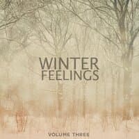 Winter Feelings, Vol. 3