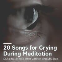 20 Songs for Crying During Meditation: Music to Release Inner Conflict and Struggle