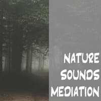 Nature Sounds Meditation