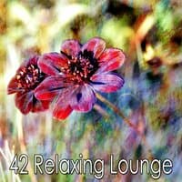 42 Relaxing Lounge