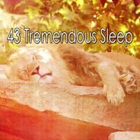 43 Tremendous Sleep