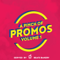 A Pinch of Promos, Vol. 1