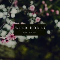 Wild Honey