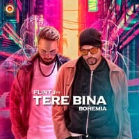 Tere Bina - Single