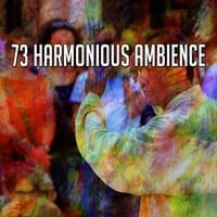 73 Harmonious Ambience