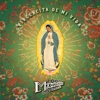 Virgencita de Mi Vida