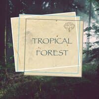 Tropical Forest