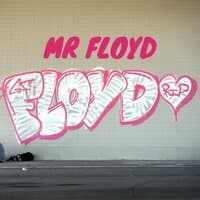 Mr. Floyd