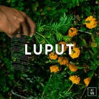 Luput