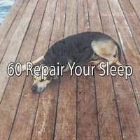 60 Repair Your Sle - EP