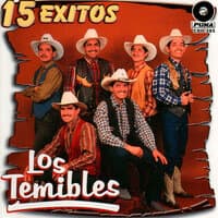 15 Exitos