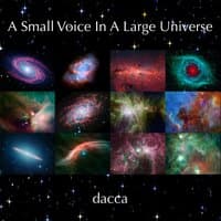 A Small Voice In A Large Universe